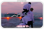 monstax-heromv17