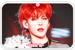 yoshi16