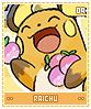 raichu09