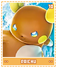 raichu10
