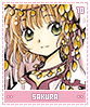 sakura10