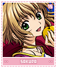sakura15