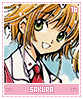 sakura16