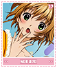 sakura17