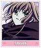 sakura19