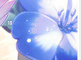 rimiushigome-flowerfairy10